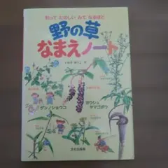 Item thumbnail for item 4f37b7d9-f323-40e9-959a-1d09876352f7