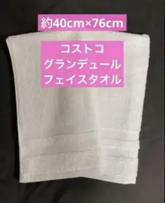 Item thumbnail for item 727e2138-0d2f-4293-9e3a-252fbc35ff0c