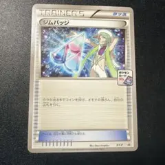 ジムバッジ ミクリ ジム プロモ XY-P