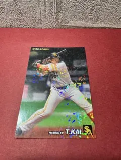 プロ野球チップス2022 ソフトバンクホークス 甲斐拓也