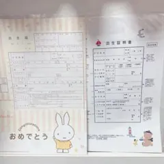 Studio Alice ミッフィー 、familiar出生届セットのサムネイル