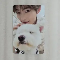 ハンビン ALL デジパ 封入 トレカ レオ 犬 ゼベワン never say