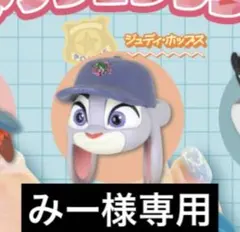 ‼️みー様専用出品‼️