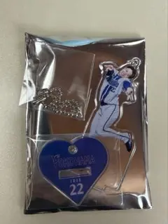 横浜DeNAベイスターズ 入江大生 ガルフェス アクスタ アクリルスタンド