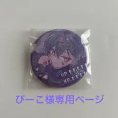 ぴーこ様専用ページ