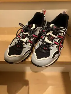 ASICS アシックス ゲルナンディ 27.5cm GEL-NANDI 360