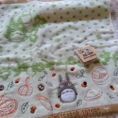 となりのトトロ 丸眞 ウォッシュタオルハンカチのサムネイル