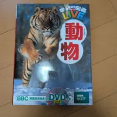 Item thumbnail for item 83fbe134-19c8-4d21-bd03-80077e25b7b5