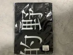 Item thumbnail for item a94aad14-c709-48cb-84a1-dc3ebeb86019