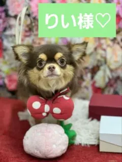 りい様♡ありがとうございます♡リクエスト 2点 まとめ商品♡