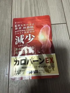 Item thumbnail for item 4d11b96f-3b41-4fdf-a4a4-895e3ce4a3a5