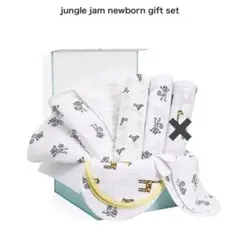 aden + anais タオルセット ジャングルジム　スワドル ブランケット