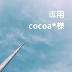 専用ページ cocoa*様