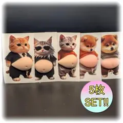 【5枚✨】新品 おなか ぷにぷに シール 猫 柴犬 仲間 ステッカー 立体