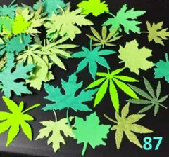 Item thumbnail for item bbeef441-698e-4930-8d46-d3f4ef6b6dec