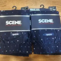 Item thumbnail for item 39e64c48-4852-4611-a41f-f7b710c1da0e