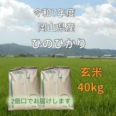 令和7年産 大分県産 ひのひかり 精米20kg - メルカリ