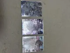 ホロカ　兎田ぺこらSR　猫又おかゆSR　＋オマケ