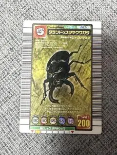 極美品】タランドゥスツヤクワガタ 2003秋 - メルカリ