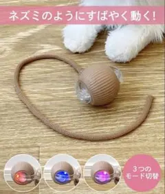 3COINS スリコ　スリーコインズ　 PETME　ボールトイ　犬 猫のサムネイル