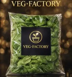 2026年最新】バジルの人気アイテム - メルカリ