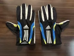 Item thumbnail for item 9505701c-a6c7-4319-89b4-76b7bc51e4de