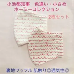 即購入可❣️小さめ2枚セット　小池都知事 色違い　ホーミーコレクション②