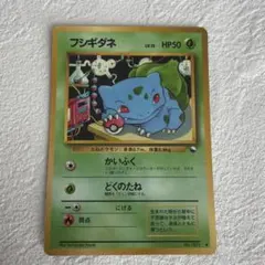 フシギダネ イントロパック　ポケモンカード　旧裏