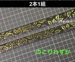 Item thumbnail for item ca6b4ffd-3bdf-4307-97b0-3a1a63f96d79