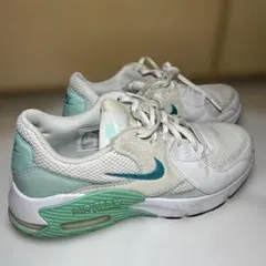 NIKE エアマックスエクシー CD5432-127 ホワイト/グリーン24cm