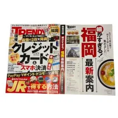 Item thumbnail for item dfc549cc-4a84-41b5-bd71-51b744243c71