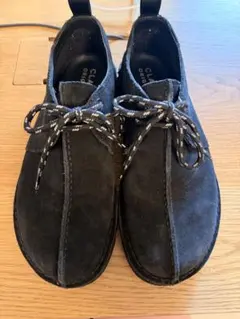 CLARKS クラークス デザートトレック ゴアテックス 26.5cm