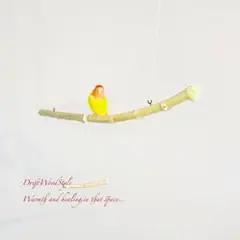 Item thumbnail for item b2c6bb83-66e2-4958-bc92-4fc012f38d81