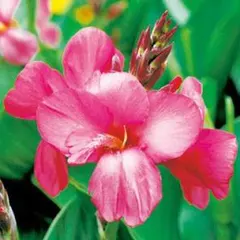 ckz13150様 リクエスト 4点 まとめ商品