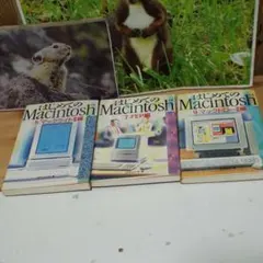 Item thumbnail for item dd1610db-b505-4a1c-a4cf-4aec1d96a11a