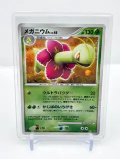 メガニウムex PCG 構築済みスターター メガニウムex☆草 キラ 003