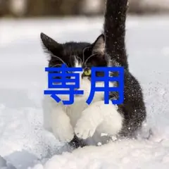 ❤︎ M ❤︎　様専用