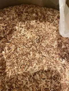 목재 폐기물, 화분, 톱밥, 약 2.0kg, 삼나무