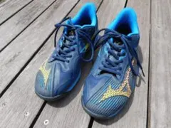 Item thumbnail for item 68fc5601-5033-44e2-8402-5cf3519de493