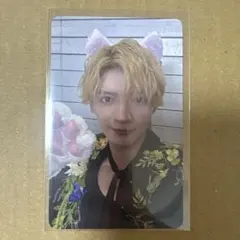 杢代和人 猫なでてトレカ 仮ノ現