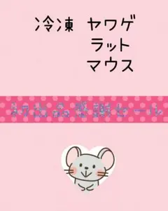 ✨初出品限定✨ 3名様特価 ✨冷凍ヤワゲネズミ ラット マウス【真空パック保存】