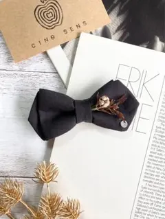 Item thumbnail for item afec5bcd-7045-4ca8-b478-109b3b8b8af5