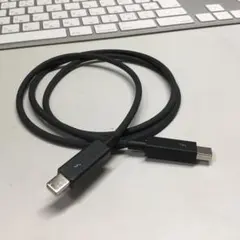 Thunderbolt 2 Cable 1m【中古品】