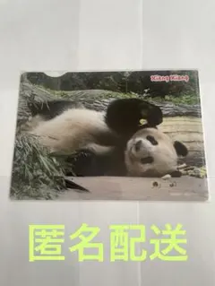 シャンシャン・A5版・クリアファイル・上野松坂屋