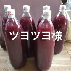 メルカリイベント割引商品シャインマスカットジュース^ ^農家直送^ ^無添加 2026年最新】シャインマスカット kgの人気アイテム - メルカリ