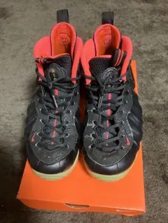 NIKE フォームポジットプロ　イージー　26cm