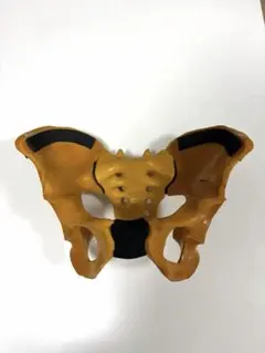 Item thumbnail for item 77cc99ee-856a-4345-928d-6603df2d4526