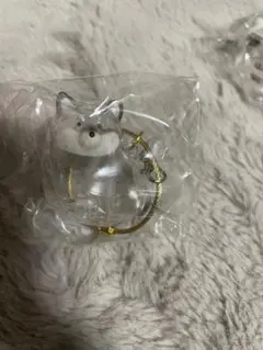 Item thumbnail for item f6837864-ba48-4170-bc6f-43a33e14ce1e