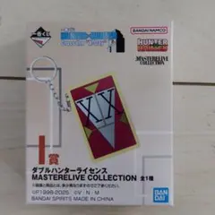 一番くじ　HUNTER×HUNTER I賞　ダブルハンターライセンス