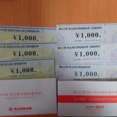 ビックカメラ・コジマ 株主優待券 ６０００円分
